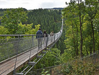 Foto der Hängeseilbrücke 'Geierlay'